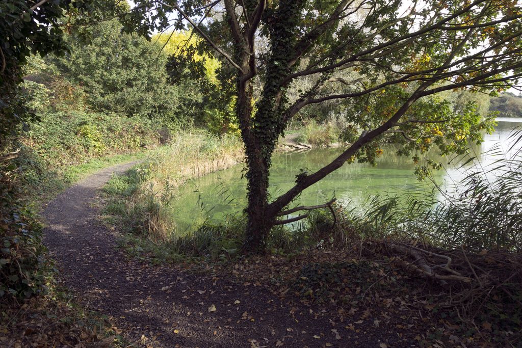 2016-10-26-Barking_Autumn_Eastbrook-Country-Park_White-Hart-Lakes