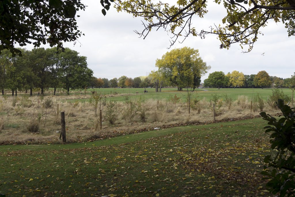 2016-10-26-Barking_Autumn_Eastbrookend-Country-Park_Landscape-Central-Park