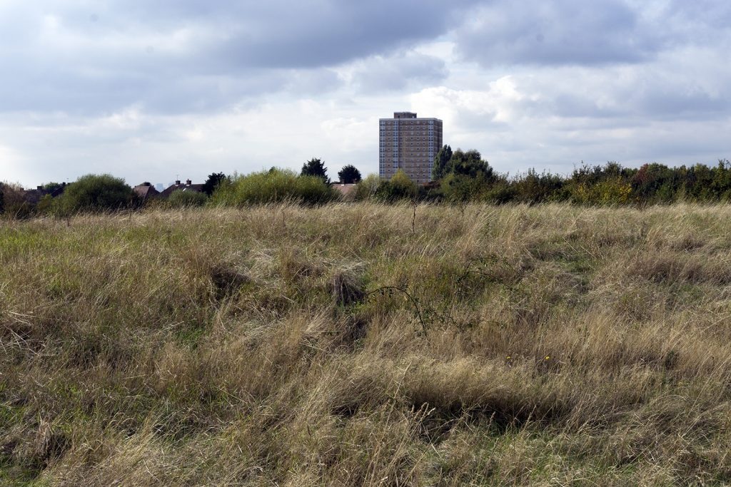 2016-10-26-Barking_Autumn_Eastbrookend-Country-Park_Landscape-Wildlife-Area