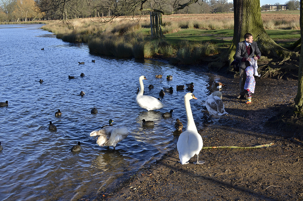 20160115_Richmond_Richmond-Park_Pen-Ponds-Nature-and-People-Winter