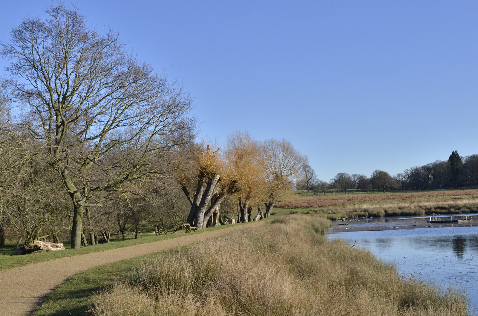 20160116_Richmond_-Richmond-Park_Pen-Ponds