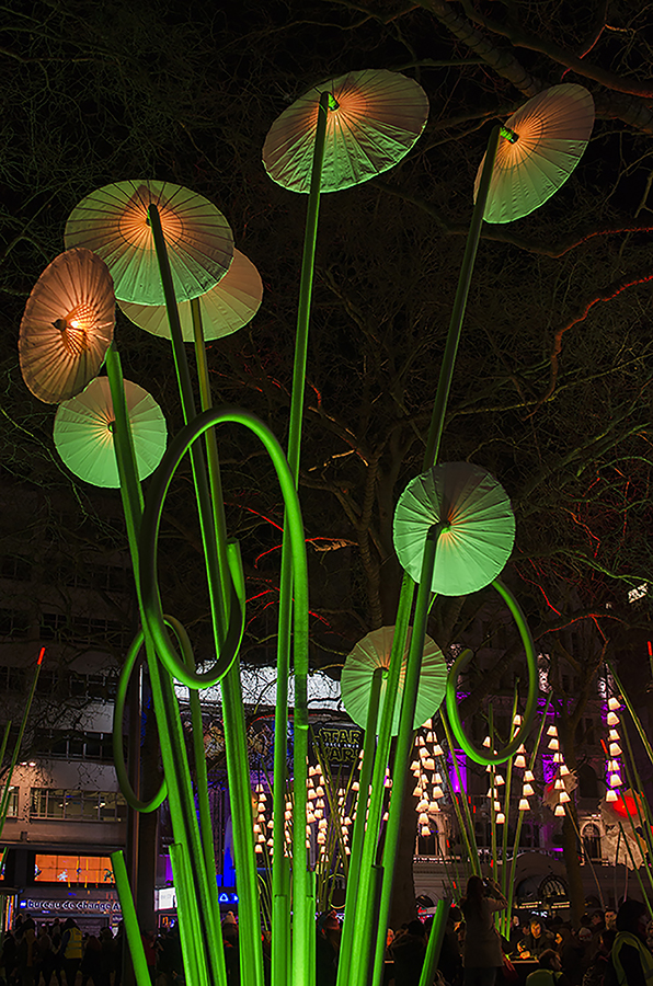 20160117-Westminster_Leicester-Square_Lumiere-Festival_Colourful-Garden