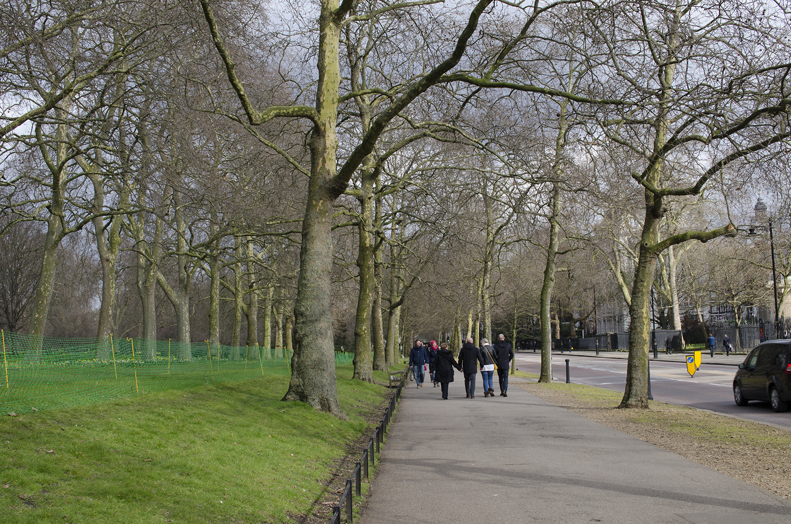 0160307-Westminster_Birdcage-Walk_Spring