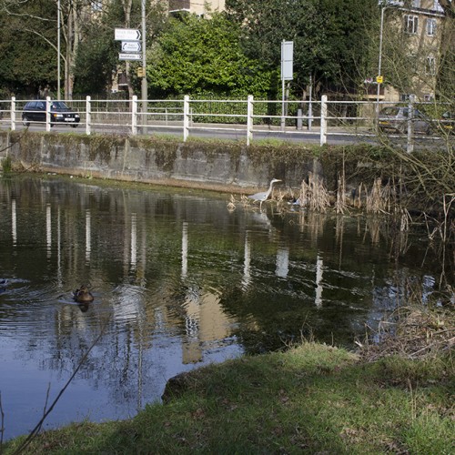 160229-Wandsworth_Putney-Heath_Seven-Post-Pond