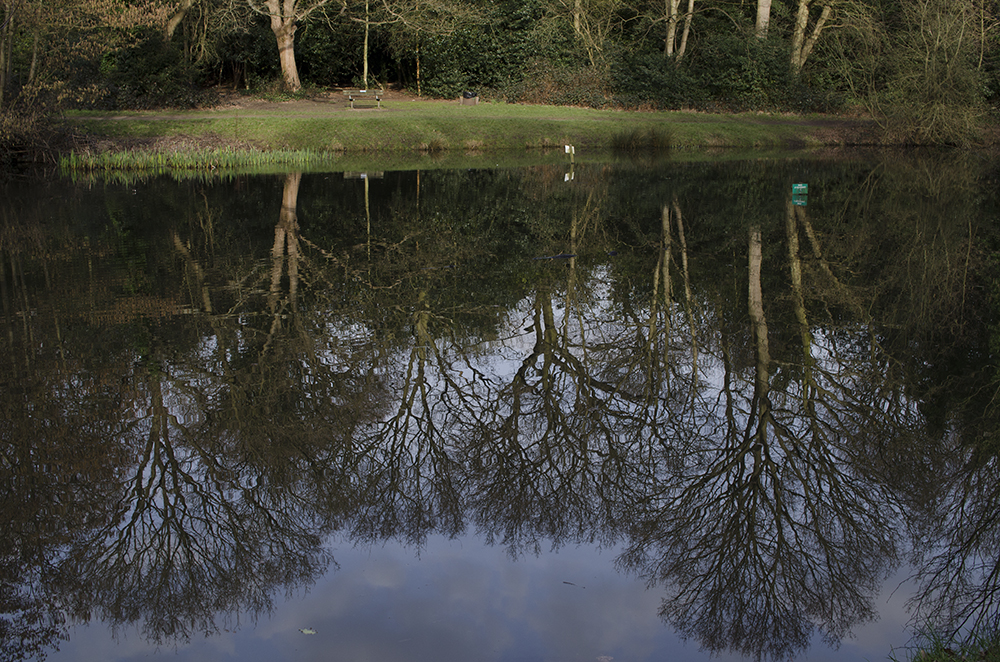 160229_Wandsworth_Putney-Heath_Scio-Pond