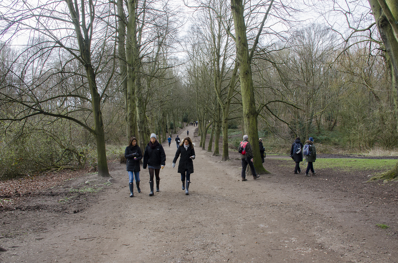 2016-02-28-Hampstead-Heath-Sunday-Morning-Walk