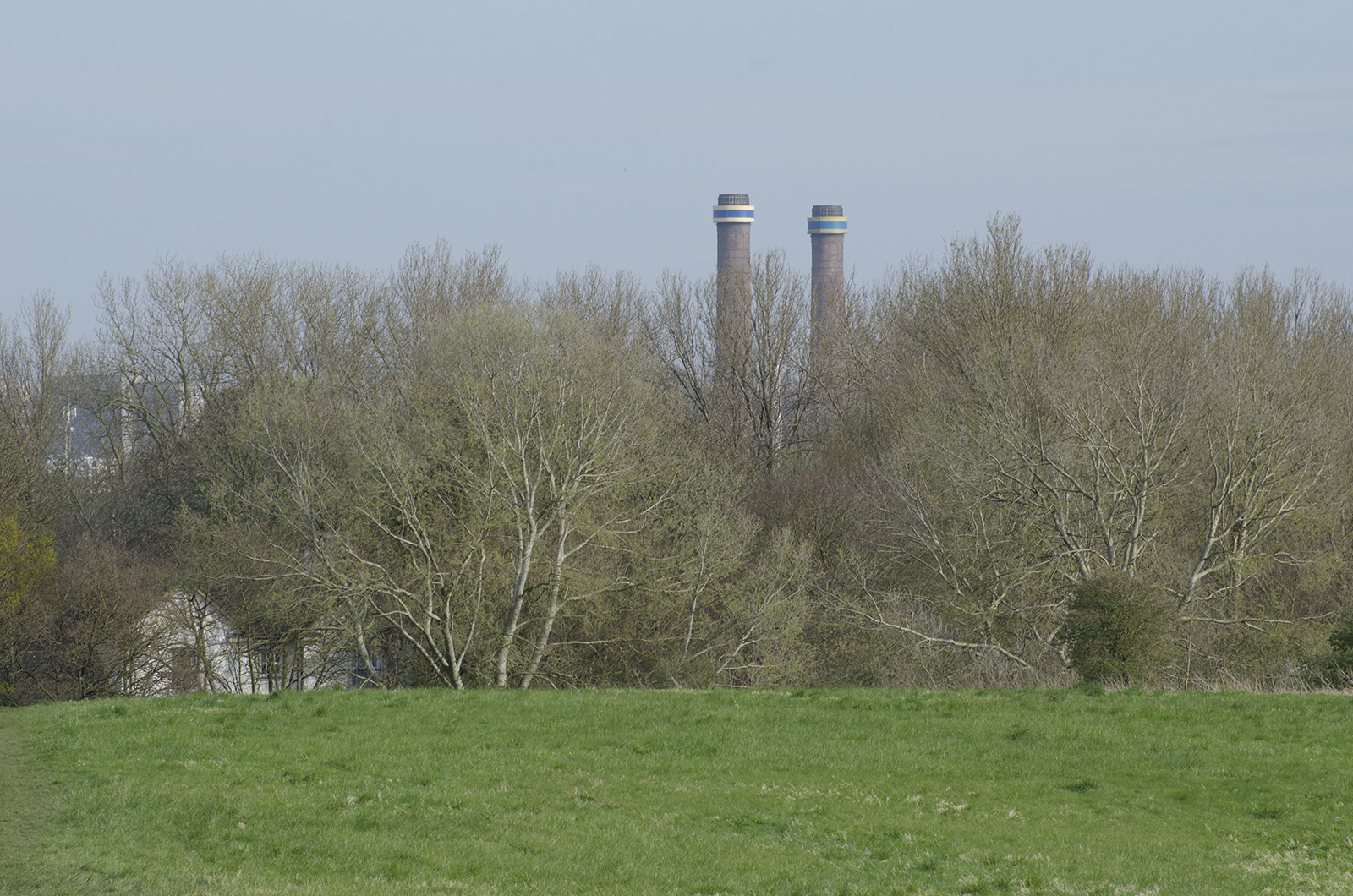 2016-04-10-Mitcham-Common_Landscape_Spring