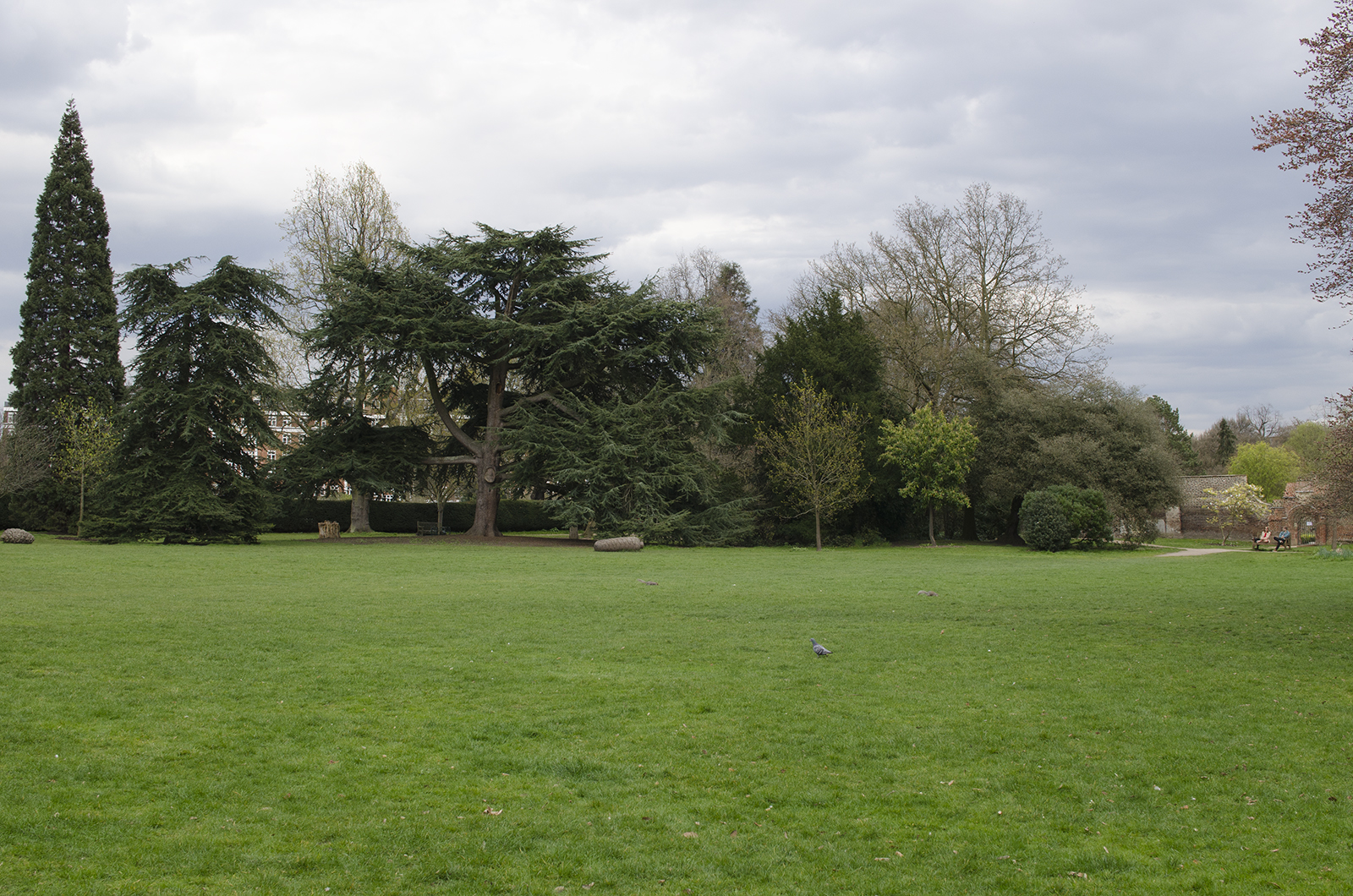 2016-04-13-Hammersmith-and-Fulham_Fulham-Palace-_Main-Lawn