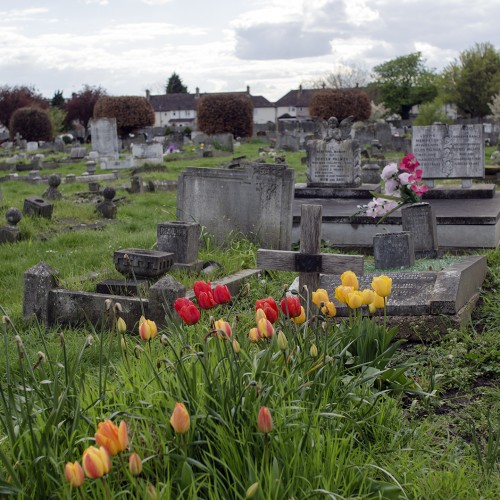 2016-04-17-Merton_London-Road-Cemetery_Spring