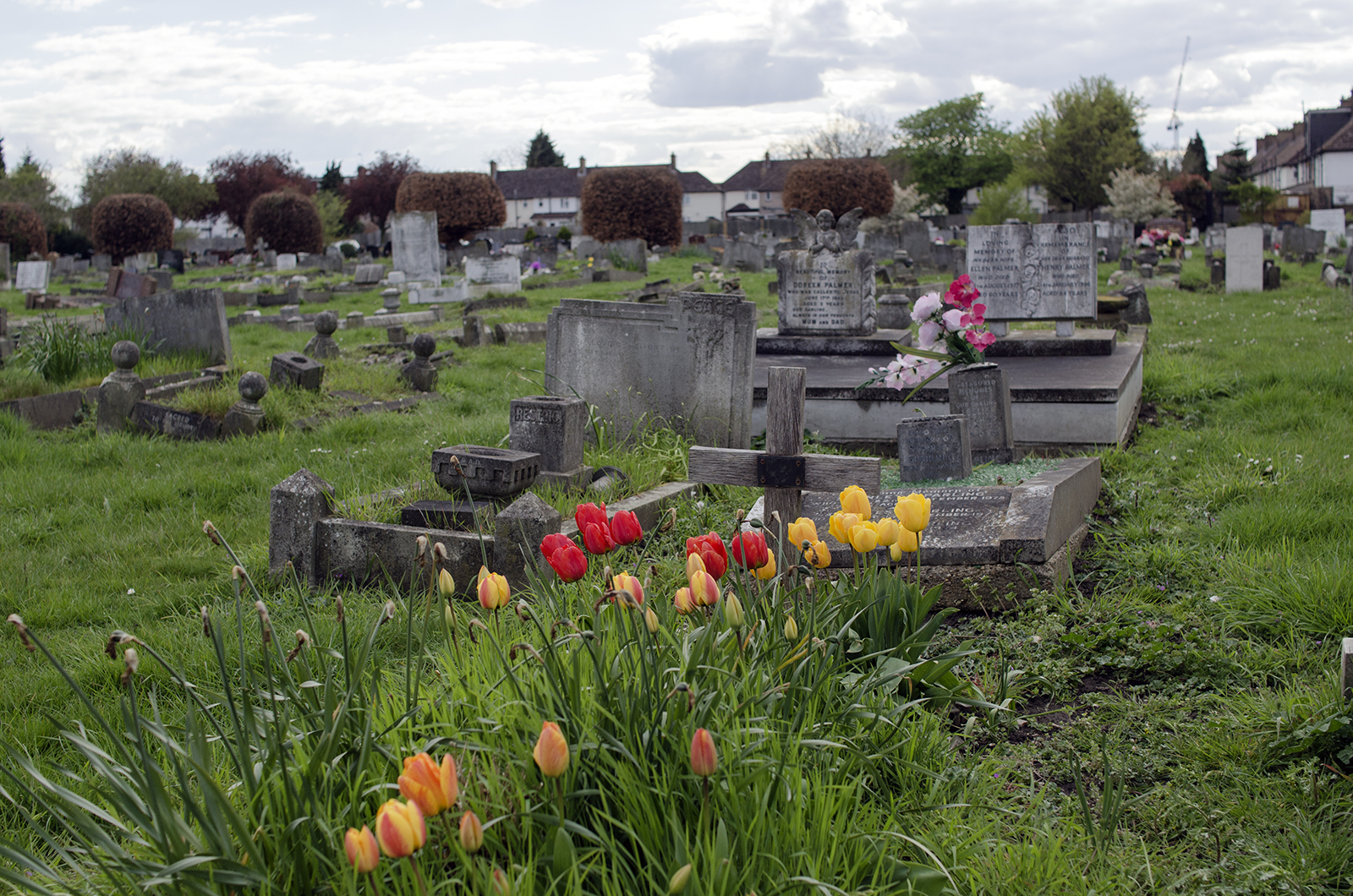 2016-04-17-Merton_London-Road-Cemetery_Spring