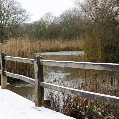 20160117-Isabella-Gardens-in-the-Snow-41