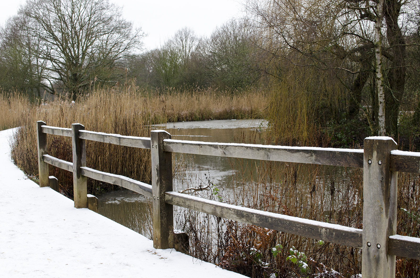 20160117-Isabella-Gardens-in-the-Snow-41