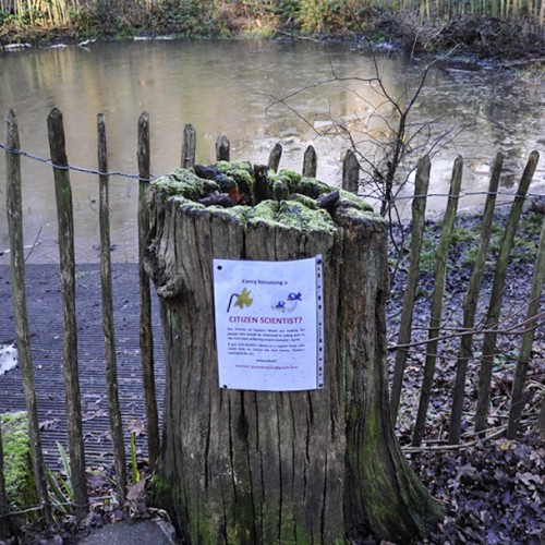 20160119_Haringey_-Queens-Wood_Citizens-scientists-get-involved