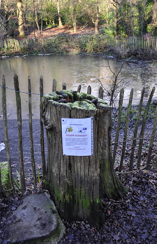 20160119_Haringey_-Queens-Wood_Citizens-scientists-get-involved