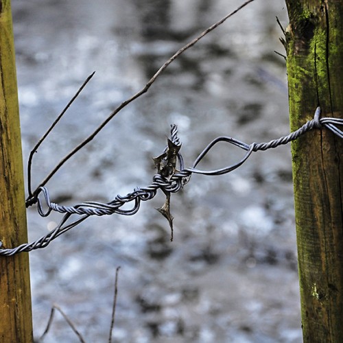 20160119_Haringey_-Queens-Wood_Fence