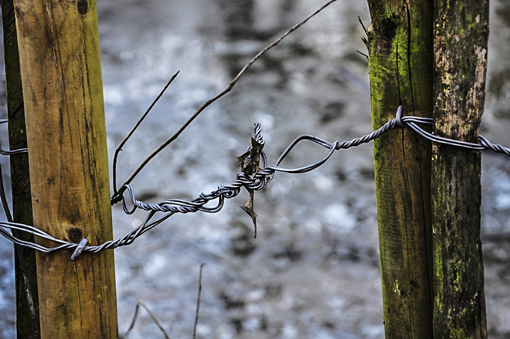 20160119_Haringey_-Queens-Wood_Fence