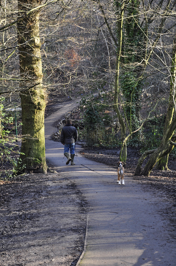 20160119_Haringey_-Queens-Wood_Morning-Walk