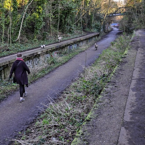 20160119_Haringey_Parkland-Walk_Former-platforms-of-the-Muswell-Hill-Finsbury-Park-line