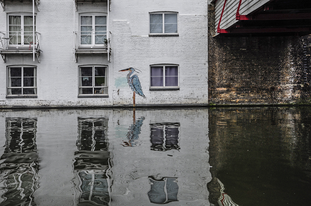 20160120_Westminster_-Grand-Union-Canal_Heron