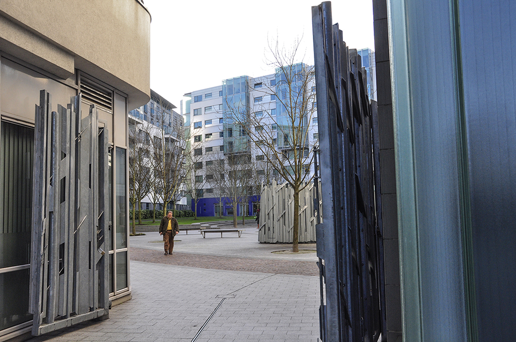 20160211_Southwark_Empir-Square-South_Bare-trees-of-winter