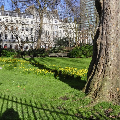 20160211_Westminster_Fitzroy-Square_Winter-sun