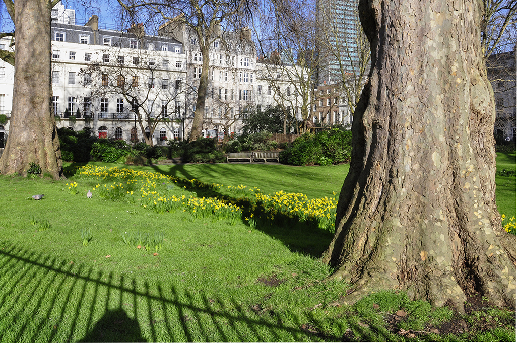 20160211_Westminster_Fitzroy-Square_Winter-sun