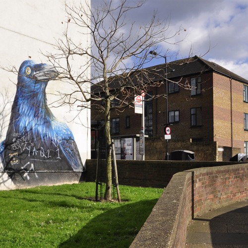 20160224_Hackney_Whiston-Road_-Mural-of-an-endangered-bird-by-Irony-and-Boe
