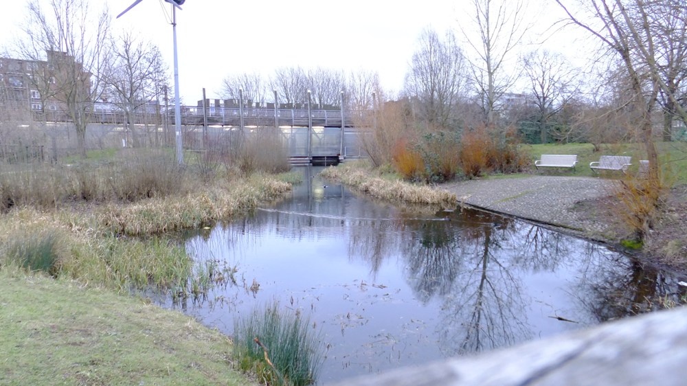 20160303_Tower-Hamlets_Meath-Gardens_Diamond-Pond