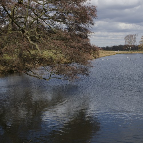 20160304_LB-Richmond_Pen-Ponds_Landscape_Spring