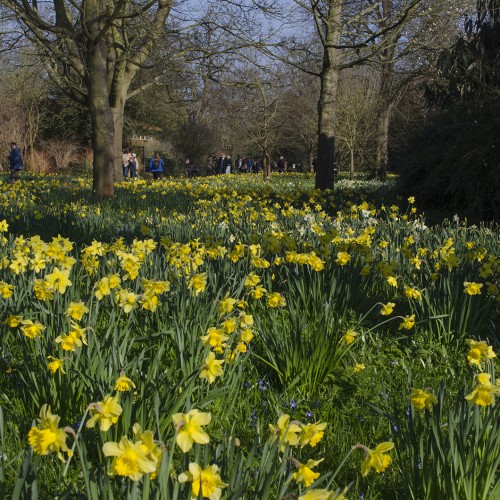 20160313-Hampton-Court-Palace_Landscape-with-People_LB-Richmond_Spring