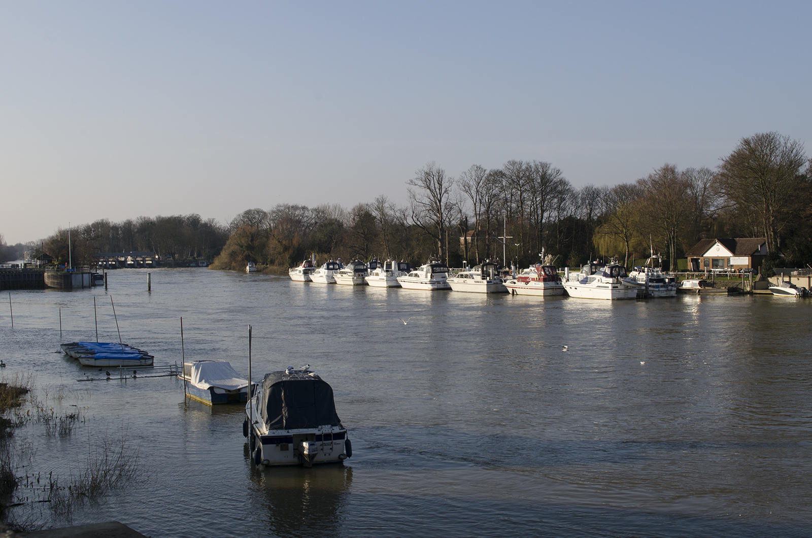 20160313-Thames-Path-Hampton-Court-to-Kingston_Lanscape