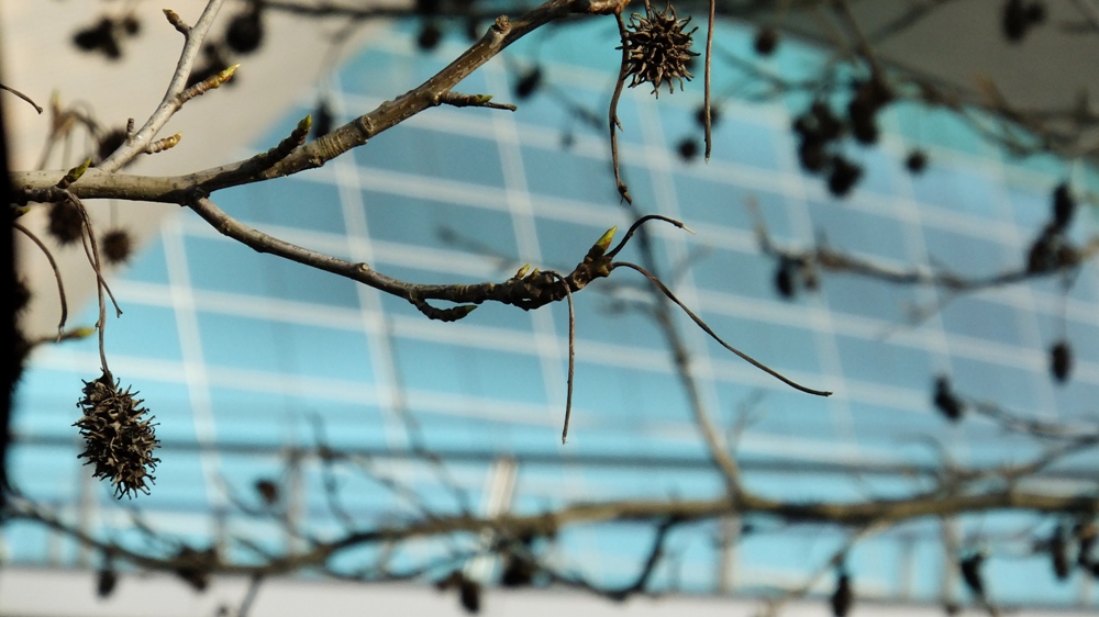 20160317_Newham_London-Aquatics-Centre_Shoots-Around-The-Aqua