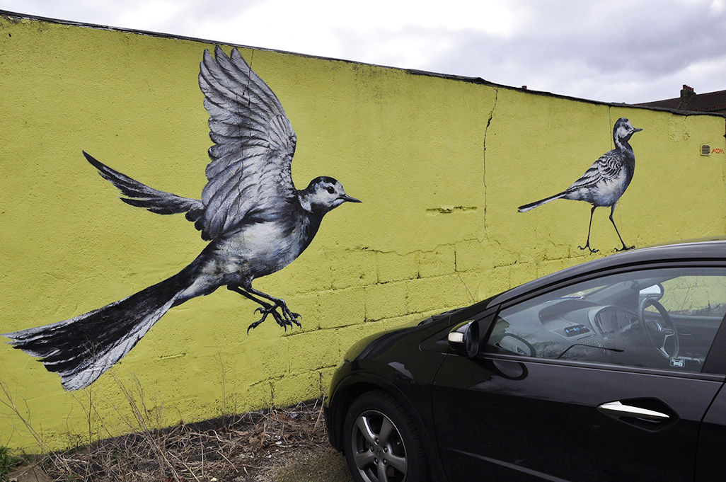 20160319_Waltham-Forest_Brandon-Road_Birds-by-ATM