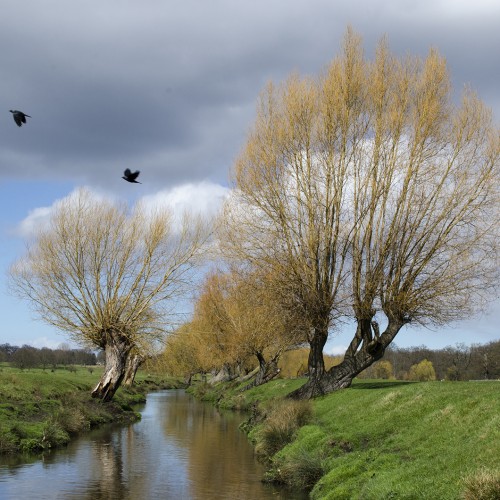 20160329_Richmond_Richmond-Park_Beverley-Book