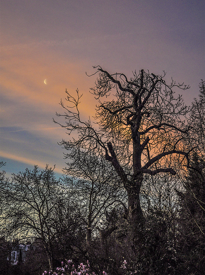 20160401_Haringey_Barnard-Hill_6.30am