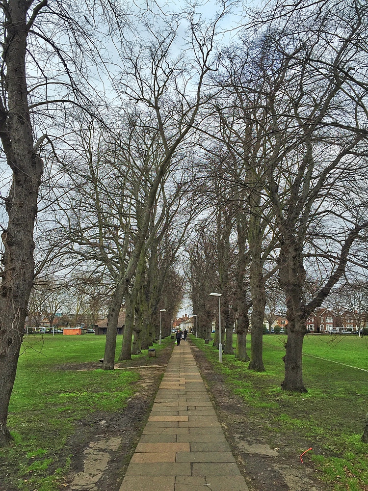 20160401_Kingston-upon-Thames_Fairfield_The-Avenue1