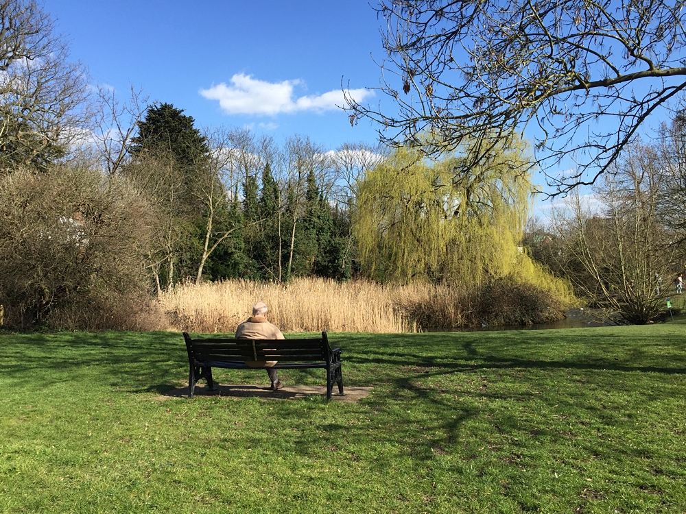 20160402_Kingston-upon-Thames_Fishponds-Bench1