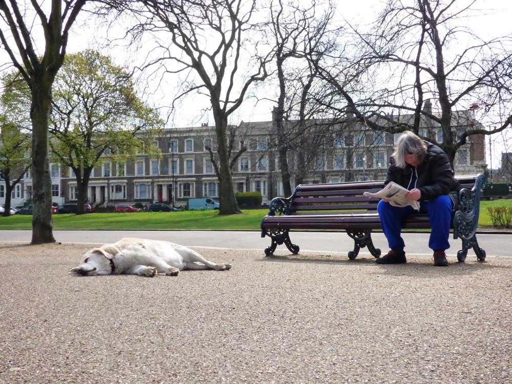 20160403_Tower-Hamlets_Victoria-Park_One-Man-and-His-Dog