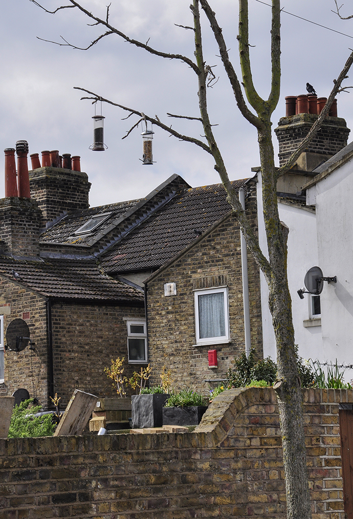 20160408_Waltham-Forest_Coppermill-Lane_Birds-feeders-in-Coppermill-Lane