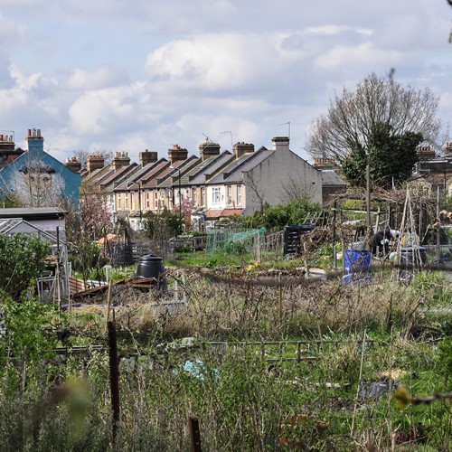 20160408_Waltham-Forest_Hingham-Hill-Road-Trencherfield-Allotments