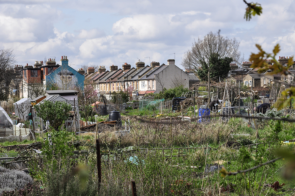 20160408_Waltham-Forest_Hingham-Hill-Road-Trencherfield-Allotments