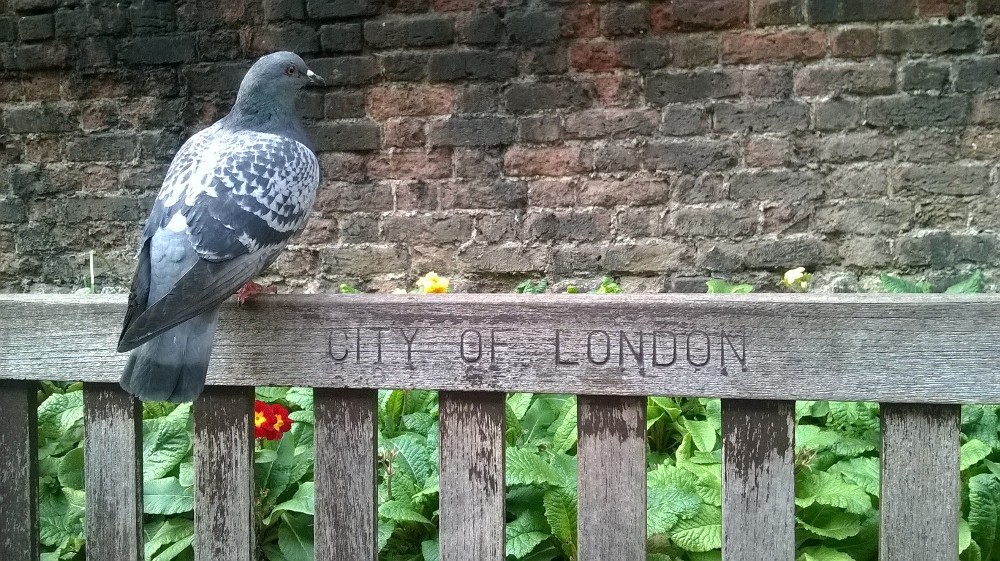 20160409_City-Of-London_All-Hallows-On-The-Wall-Church-Yard_City-Slicker