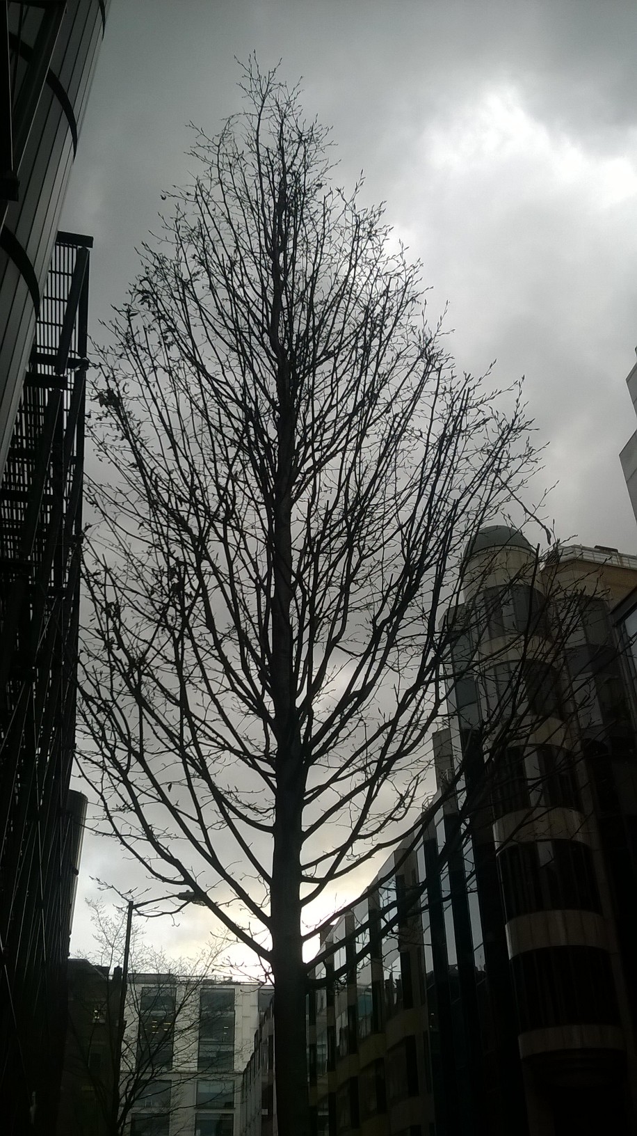 20160409_City-Of-London_Wilson-Street_Oxygen-Centre