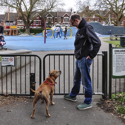 20160410_Lambeth_-Myatts-Fields-Park_Childrens-Playground-no-dogs-allowed