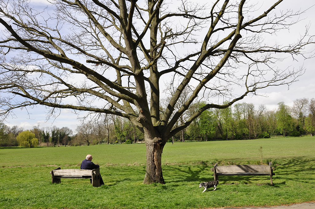 20160412_Enfield_-Enfield-Town-Park_Pensioner-and-his-dog