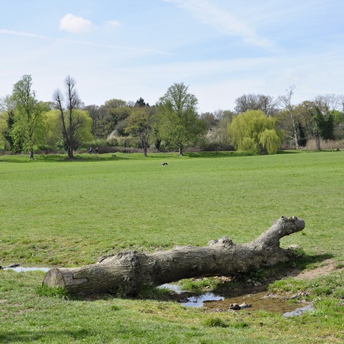 20160412_Enfield_Enfield-Town-Park-South_Open-space