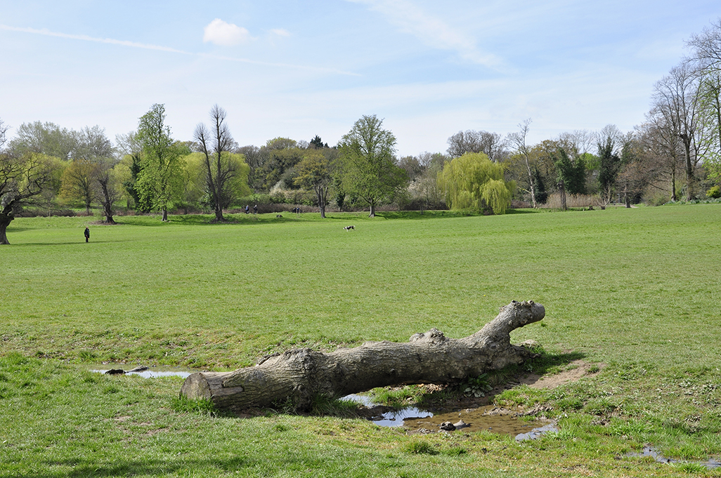 20160412_Enfield_Enfield-Town-Park-South_Open-space