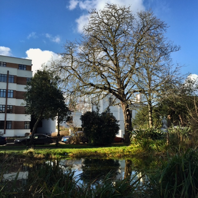 20160414_Kingston_ClaremontGardens_FlatsReflected