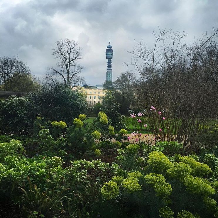 20160414_Westminster_RegentsParkGarden_BTTower