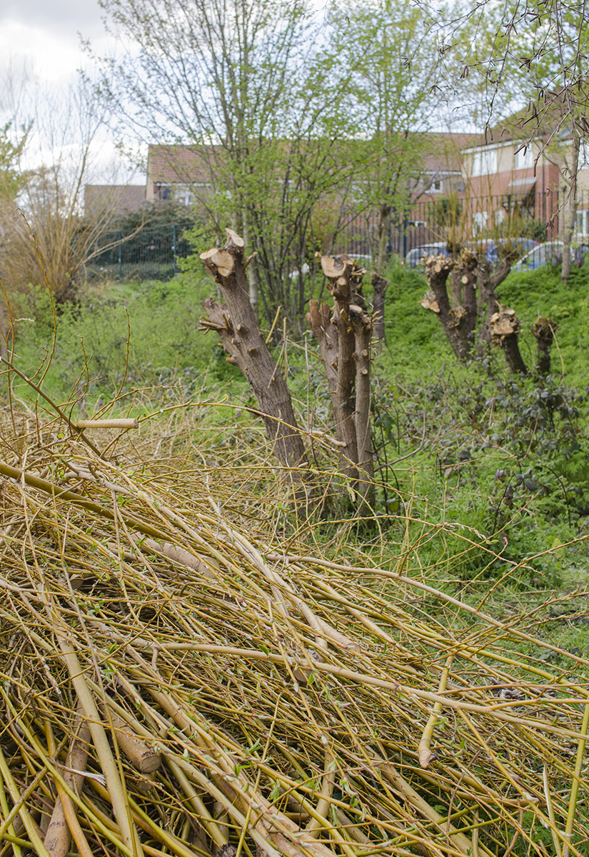 20160417-Merton_Oakleigh-Way-Recreation-Ground